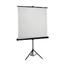 Projector Screen 1800 x 1800mm Rent or Hire